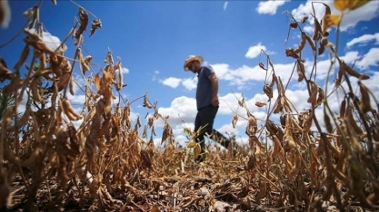 Retorno do La Niña acende sinal amarelo para produtores da região Sul