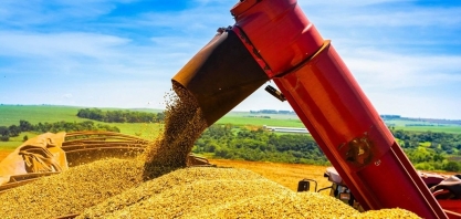 Soja e milho caem em Chicago mesmo com piora nas condições de safra