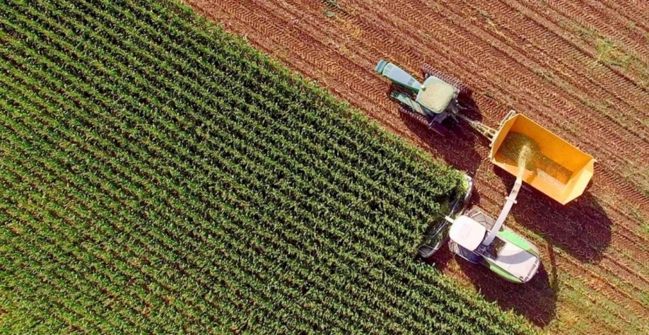 Para o BTG,excesso de oferta de etanol não será um problema para o mercado