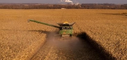 Preço da soja sobe na bolsa de Chicago; milho e trigo fecham em queda