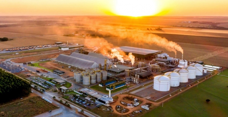 Interesse da Petrobras consolida etanol de milho frente ao de cana