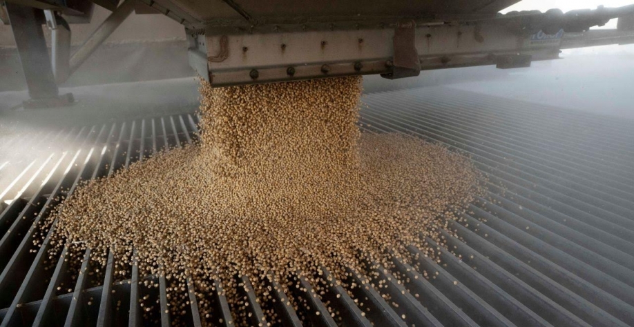 EUA perdem bilhões de dólares em vendas de soja para China