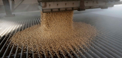 EUA perdem bilhões de dólares em vendas de soja para China