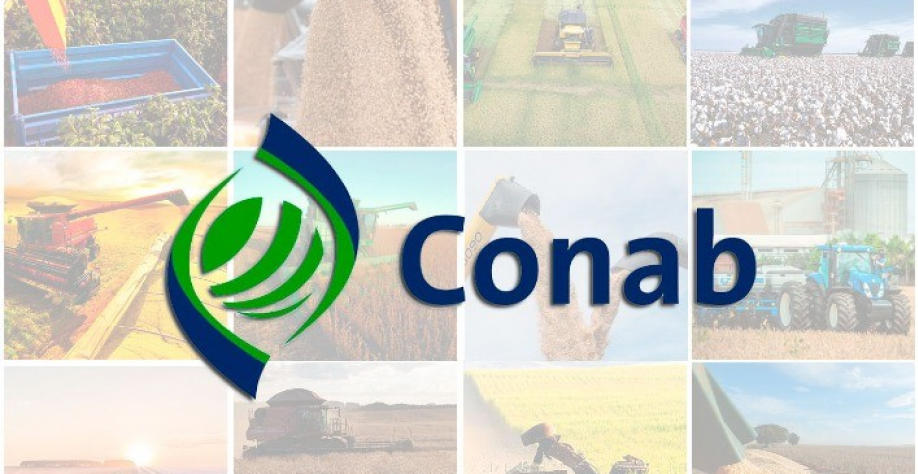 Com safra recorde neste ano, estoques de grãos aumentam no país 