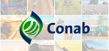 Com safra recorde neste ano, estoques de grãos aumentam no país 