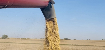 Preço da soja sobe em Chicago após Trump anunciar encontro com a China
