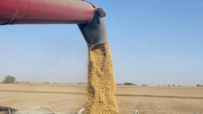Preço da soja sobe em Chicago após Trump anunciar encontro com a China