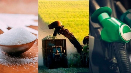 Perda da competitividade do açúcar ante etanol no interior do Brasil