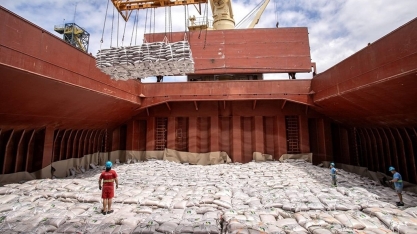 Exportações de açúcar aos EUA caíram mais de 80% após tarifaço