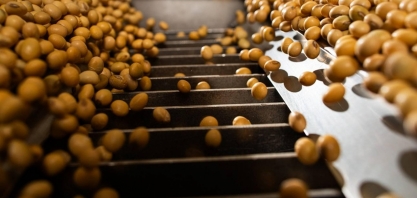 Exportação de soja no Brasil crescerá 60,6% em outubro, estima Anec