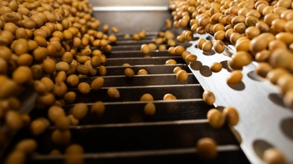 Exportação de soja no Brasil crescerá 60,6% em outubro, estima Anec