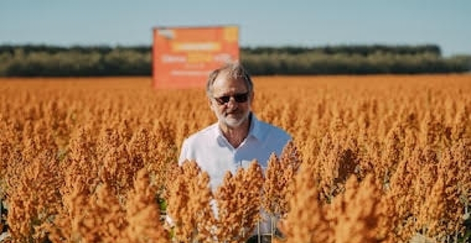 Novas culturas reconfiguram o ciclo da agricultura brasileira