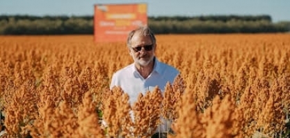 Novas culturas reconfiguram o ciclo da agricultura brasileira