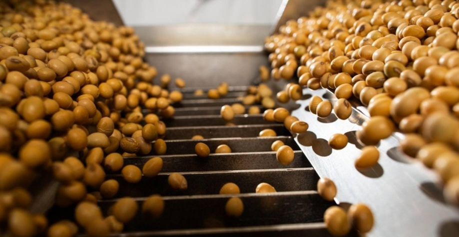China deixa de importar soja dos EUA em setembro pela 1ª vez em sete anos