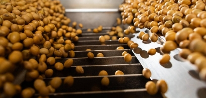 China deixa de importar soja dos EUA em setembro pela 1ª vez em sete anos