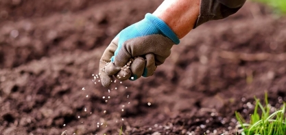 Fertilizantes: Compras antecipadas devem manter ritmo forte em 2026