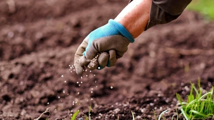 Fertilizantes: Compras antecipadas devem manter ritmo forte em 2026