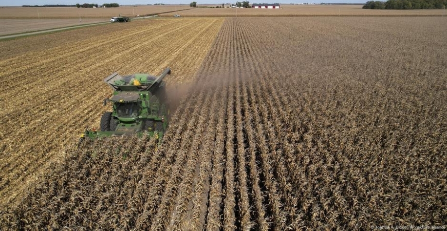 Agroterrorismo: Como a IA transforma a biotecnologia em arma