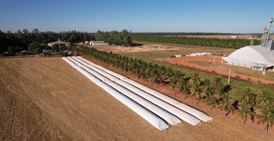 Produtores rurais enfrentam gargalo de armazéns em meio a safras recordes