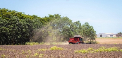 Moratória da Soja indefinida: lados opostos comemoram decisão do Cade