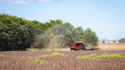 Moratória da Soja indefinida: lados opostos comemoram decisão do Cade