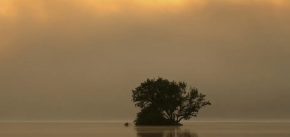 Degradação ambiental coloca em risco a prosperidade europeia