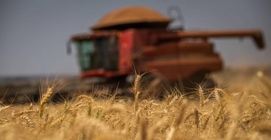 Produção brasileira de trigo pode alcançar 7,5 mi de ton. nesta safra