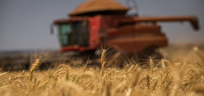 Produção brasileira de trigo pode alcançar 7,5 mi de ton. nesta safra