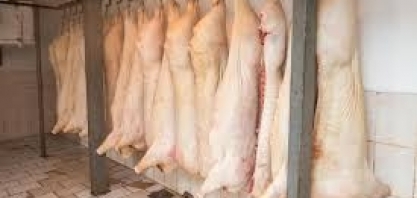 Exportações de carne suína batem recorde histórico em setembro