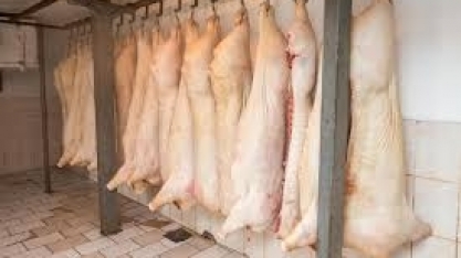 Exportações de carne suína batem recorde histórico em setembro