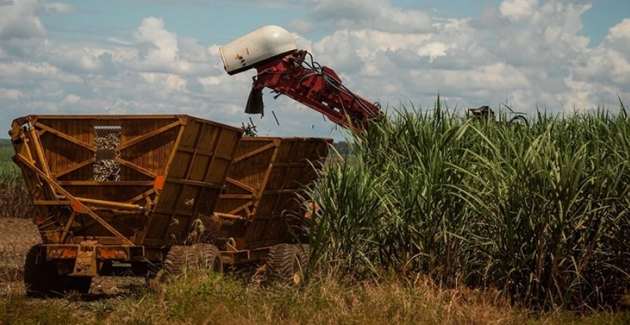 Oferta de etanol deve subir e derrubar preços em 2026