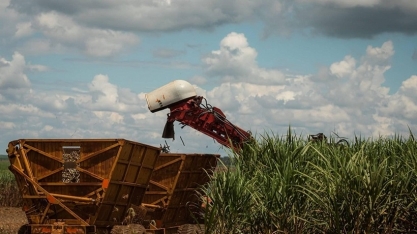 Oferta de etanol deve subir e derrubar preços em 2026