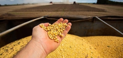 PIB da cadeia de soja e biodiesel deve crescer 11% em 2025