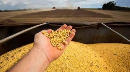 PIB da cadeia de soja e biodiesel deve crescer 11% em 2025