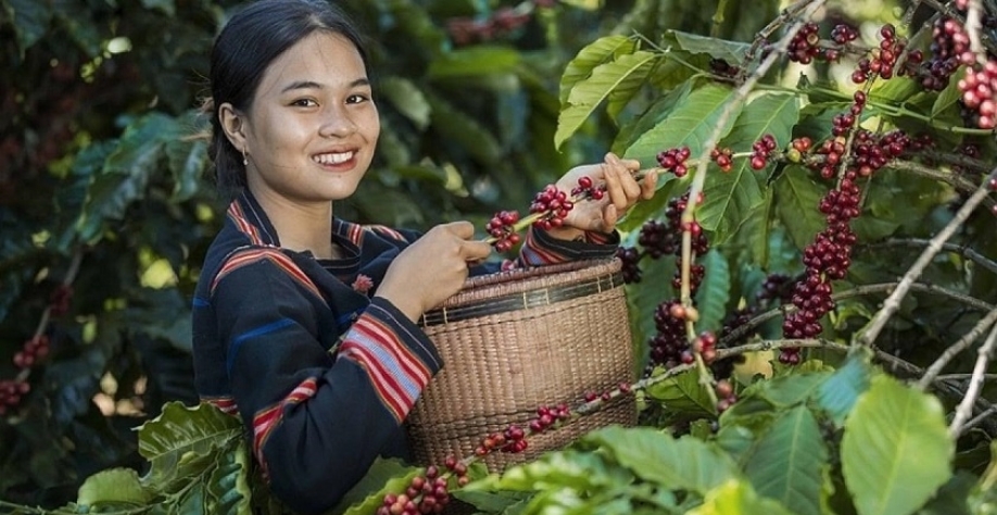 Trump anuncia isenção tarifária para o Vietnã e pressiona o Brasil