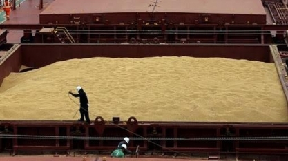 Acordo entre EUA e China reduz prêmios e paralisa vendas de soja do Brasil