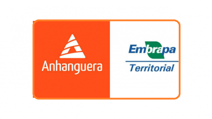 Paraná bate recordes na produção de frango e ovos com protagonismo global