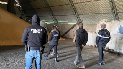 Sementes piratas ameaçam lavouras e tecnologia agrícola no país