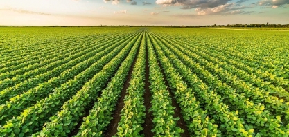 Novas tecnologias transformam o agronegócio e aumentam produtividade