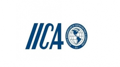 Antes da COP30, ministros de Agricultura se reúnem em Brasília