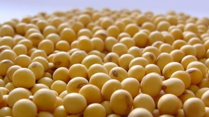 Guerra Trump x China fortalece Brasil como superpotência global da soja