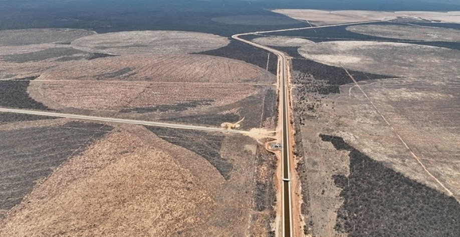 ACP Bioenergia dá primeiro passo em cultivo de grãos e algodão na Caatinga