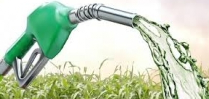 Etanol: Hidratado sobe 0,59% e anidro 1,07% na semana nas usinas de SP