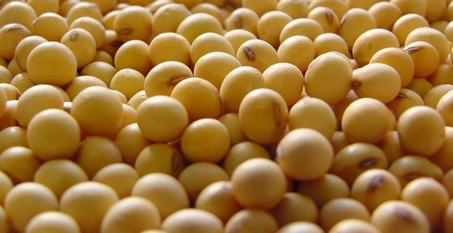 China reduziu compras agrícolas dos EUA e Brasil ocupou mercado