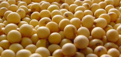 China reduziu compras agrícolas dos EUA e Brasil ocupou mercado