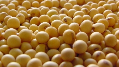 China reduziu compras agrícolas dos EUA e Brasil ocupou mercado