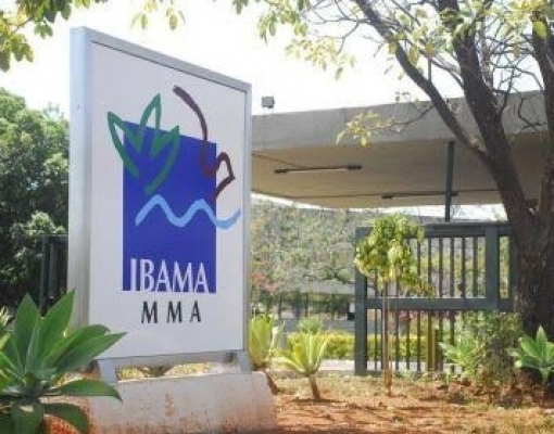 Licença do Ibama mina esforço de negociadores na COP30–Por Daniel Rittner