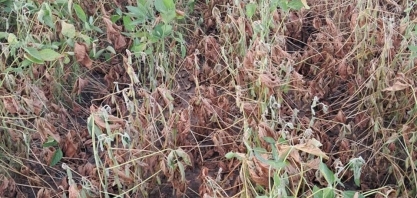 RS: Novas regras permitirão mais 56 municípios na renegociação de dívidas