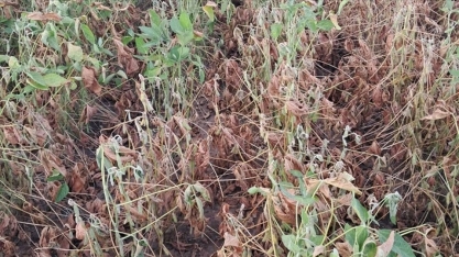 RS: Novas regras permitirão mais 56 municípios na renegociação de dívidas