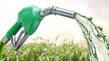 Etanol: Hidratado sobe 0,77% e anidro cai 0,15% na semana nas usinas de SP